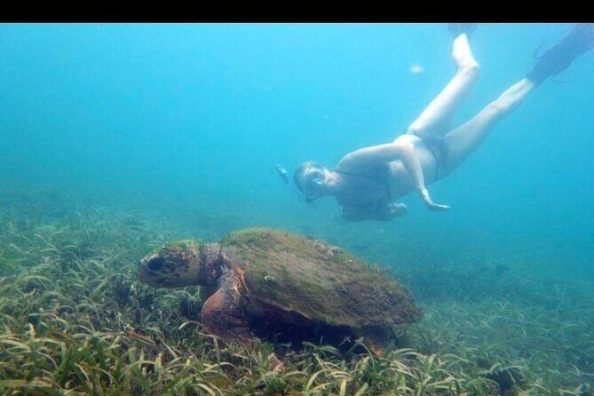 Private Snorkeling and Sightseeing Tour of Antigua - Authentic Travel Experiences and Authenticity