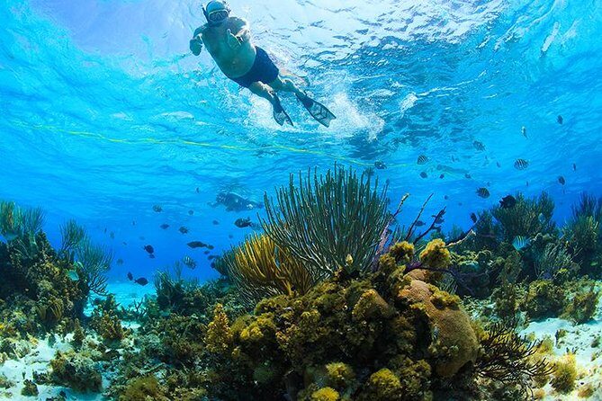 Private Stingray City and Snorkeling Half Day Charter for 6 Guest - The Experience in Practice