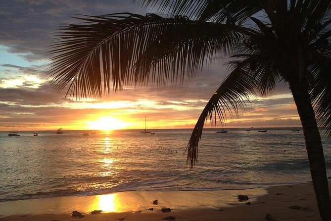 Private Sunset Horseback Riding in punta cana beach - Authentic Experiences & Traveler Insights