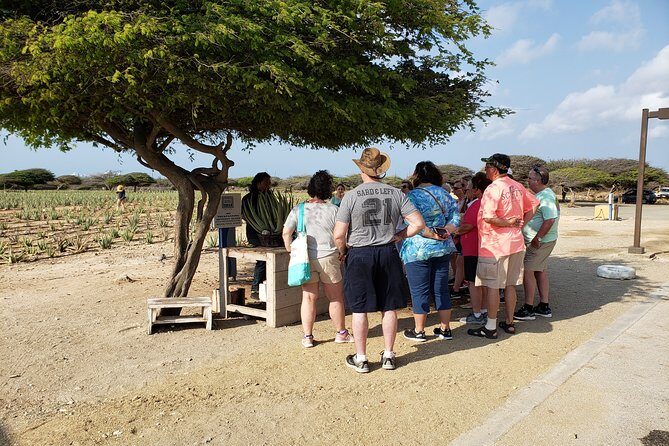 Private Tour: Essential Tour of Aruba - FAQs