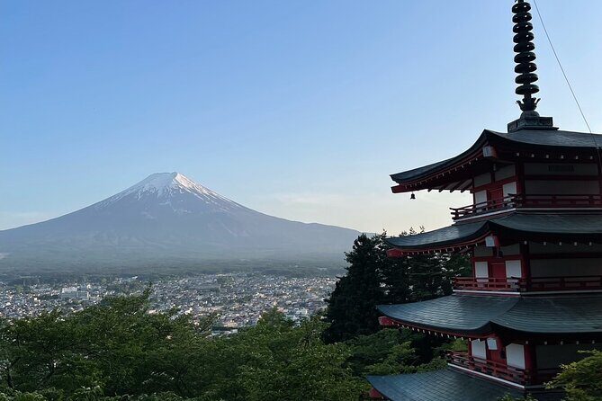 Private Tour to Mt Fuji and Hakone with English Speaking Driver - What Reviewers Are Saying