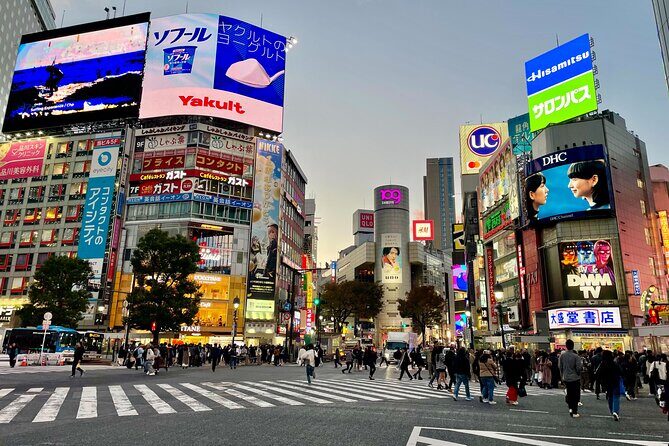 Private Walking Tour in Tokyo - Perfect for First-Time Visitors - What’s Included and What’s Not