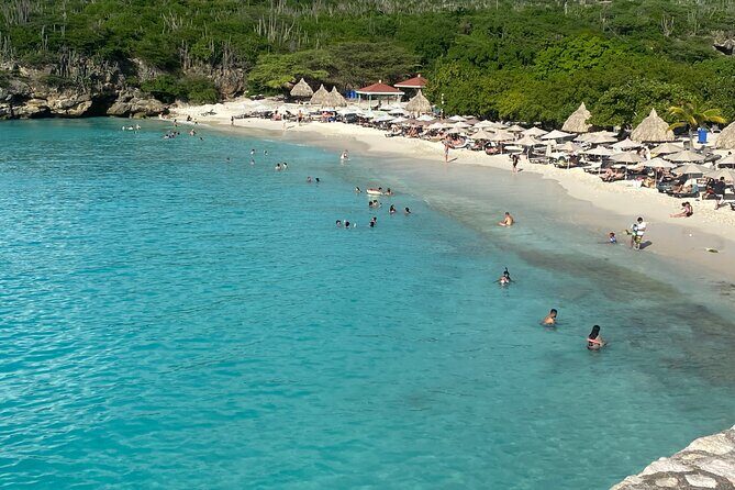 Private Westcoast Beachhop Tour. Turtle beach, grote knip & More - The Sum Up