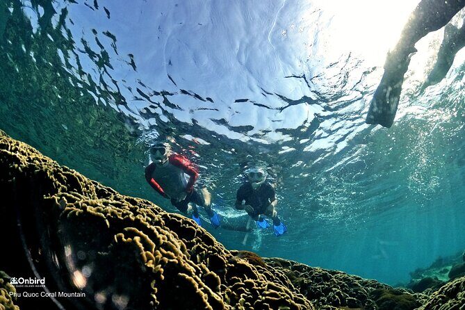 PRO-SNORKELING to Explore Hidden Coral Reefs (MAX 12 PAX) - What’s Included & What’s Not