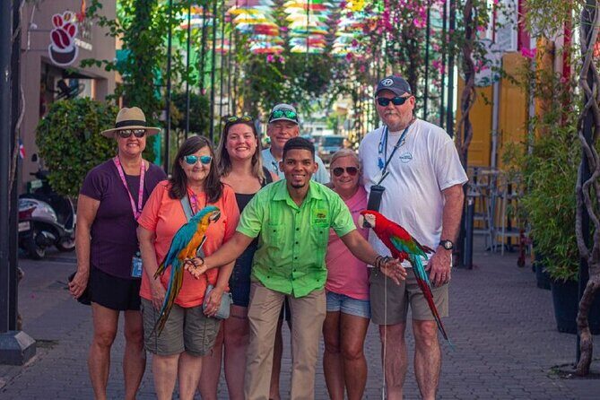 Puerto Plata City Tour - Who Should Consider This Tour?