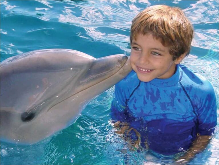 Puerto Plata: Dolphin Encounter at Ocean World - Who Will Love This Tour?