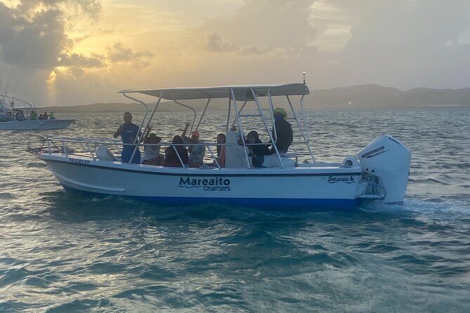 Puerto Rico: Bio Bay Swim and Sunset Charter or Late night tour - The Authenticity and Value