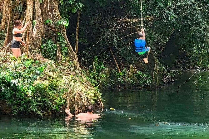 Puerto Rico El Yunque Rainforest with Transportation - Well-Prepared Travelers: What to Know