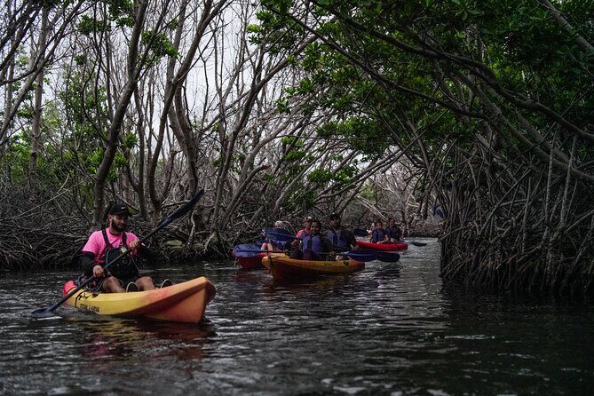 Puerto Rico Sunset Magic: Bio Bay Kayaking Tour from Fajardo - The Downside: A Few Considerations