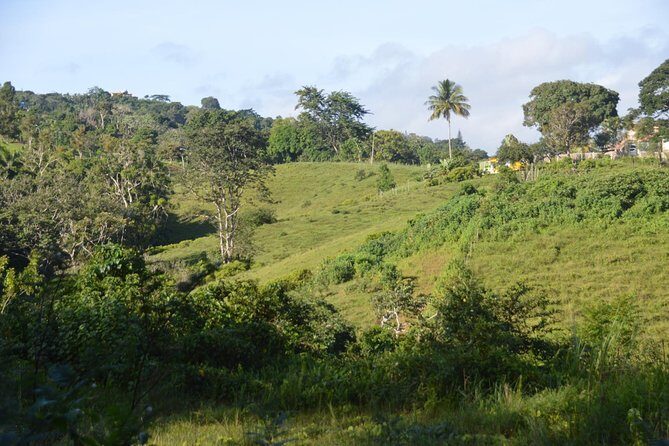 Puerto Rico Waterfall Hiking Tour: Discover Hidden Gems 2.0 - What Makes This Tour Stand Out?