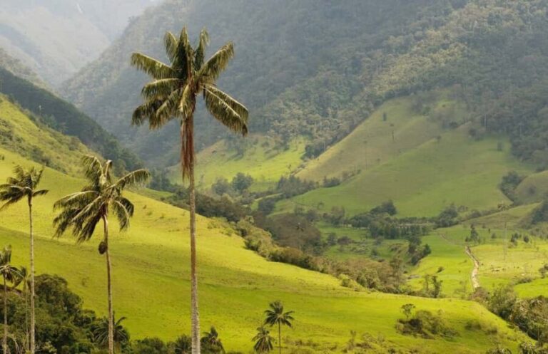 Punta Cana: Anamaya Mountains Walking Tour with Tasting - Who Will Love This Tour?