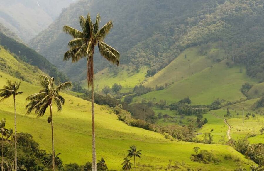 Punta Cana: Anamaya Mountains Walking Tour with Tasting - Who Will Love This Tour?