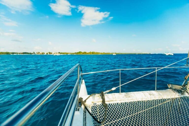 Punta Cana: Catamaran Boat to Saona Island with Buffet Lunch - What to Expect and Practical Considerations