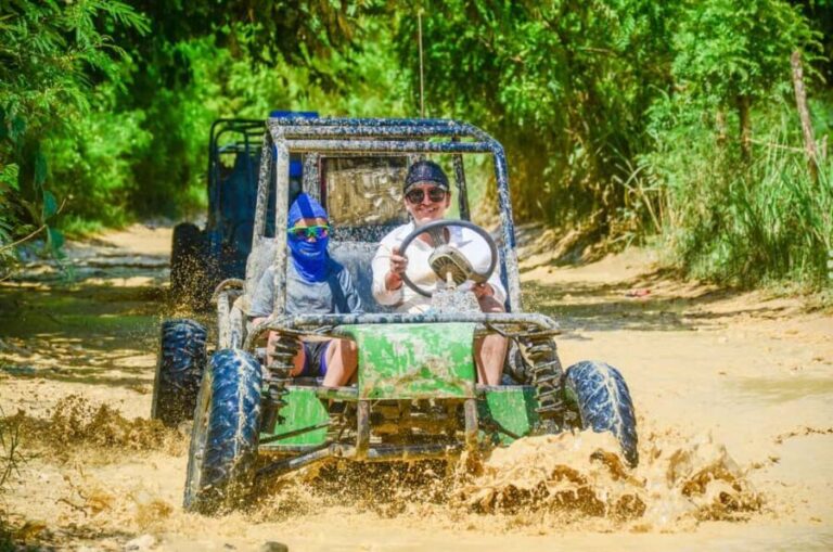 Punta Cana: Countryside and Macao Beach Half-Day Buggy Tour - Who Will Enjoy This Tour?