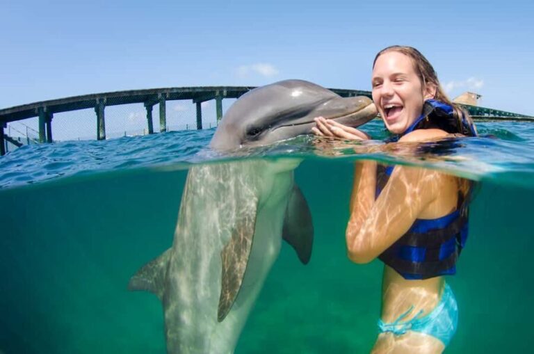 Punta Cana: Dolphin Explorer Swims and Interactions - Practical Details and Tips
