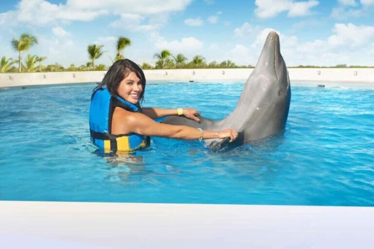 Punta Cana: Dolphin Interaction Experience & Hotel Transfers - The Interaction Programs: What You Can Expect