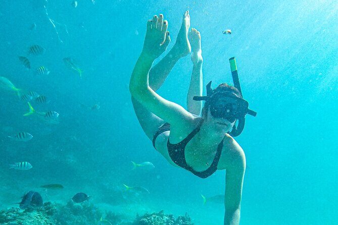 Punta Cana Exclusive Adults-Only Snorkel with Food and Drinks - Practical Details: What Travelers Should Know