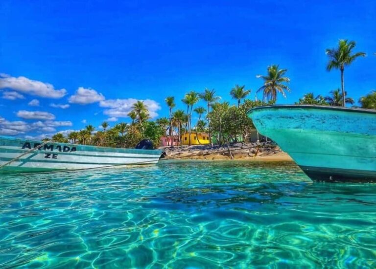 Punta Cana: Full-day Snorkelling Tour in Catalina Island - Beaches and Leisure Time on Catalina Island