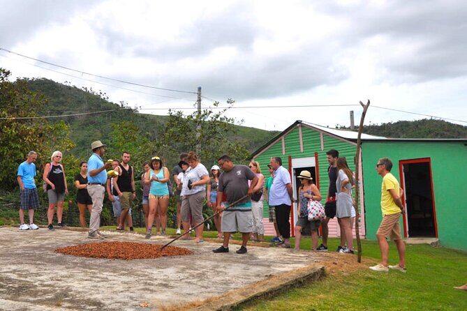 Punta Cana Half-Day Cultural Safari with Lunch and Drinks - What the Reviews Tell Us