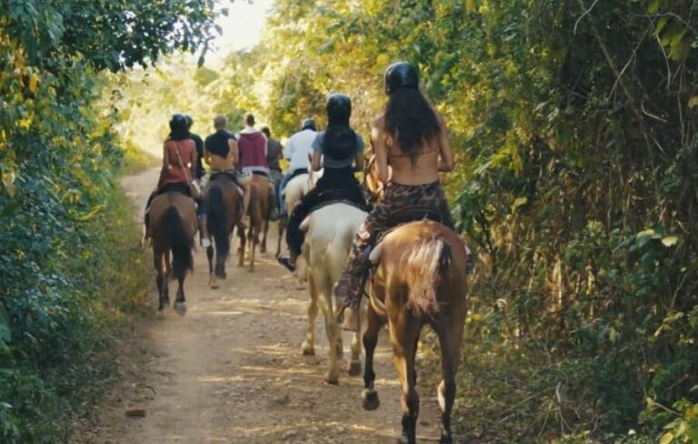 Punta Cana Horseback riding & Sunset + beach + free pick-up - The Itinerary Breakdown