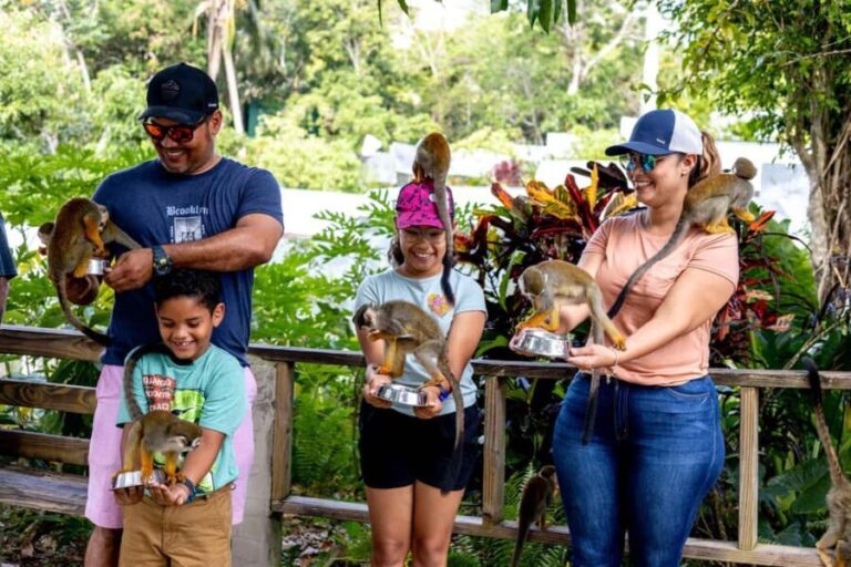 Punta Cana: Monkey Land Half-Day Safari and Plantation - Transportation, Duration, and Group Size