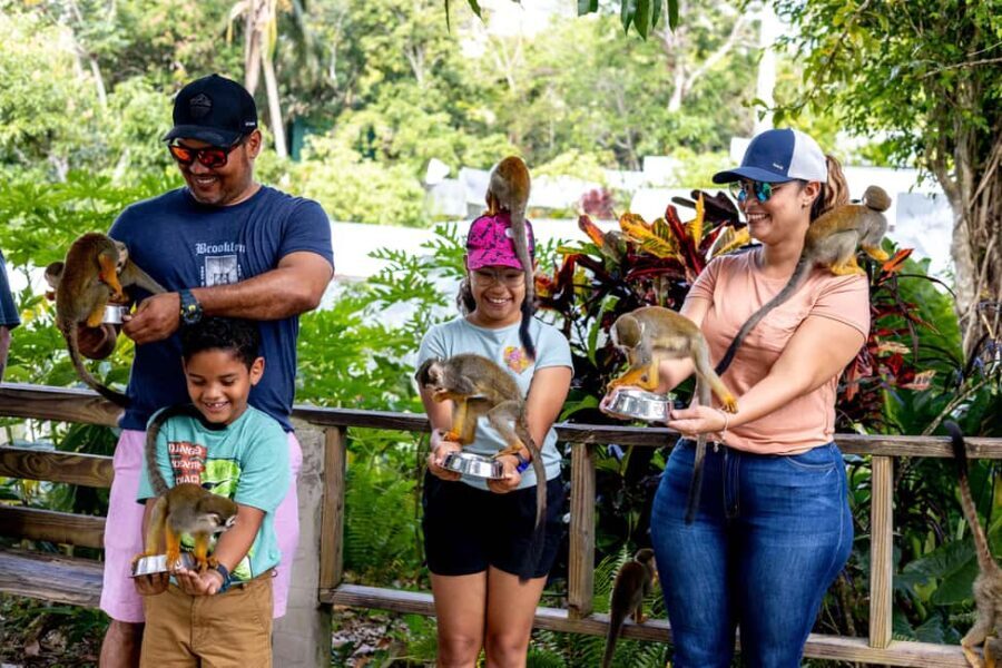 Punta Cana: Monkey Land Half-Day Safari and Plantation - Transportation, Duration, and Group Size