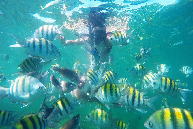 Punta Cana Private Cruise Up To 10 Snorkeling & Seafood lunch - Itinerary Breakdown: Snorkeling, Beaches, and Pools