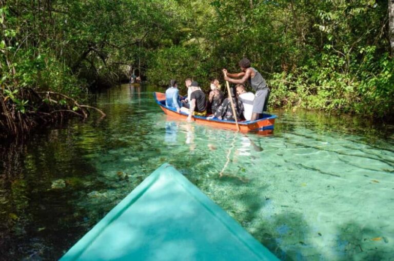 Punta Cana: Samana Cayo Levantado & Limón Waterfall - The Practical Side: Transport, Timing, and Group Dynamics