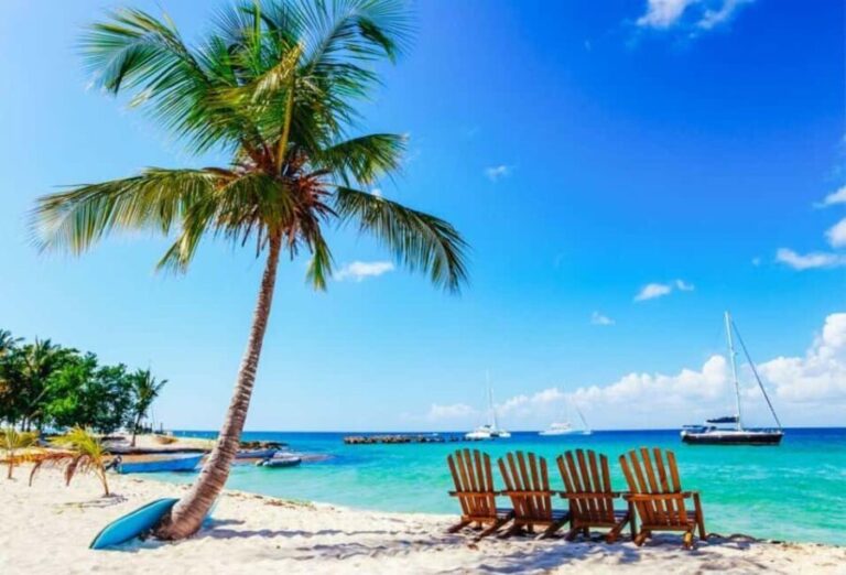 Punta Cana - Santo Domingo: Saona Island VIP Catamaran Tour - An In-Depth Look at the Saona Island VIP Catamaran Tour