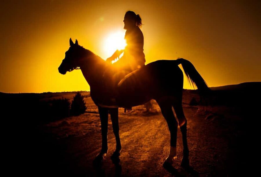 Punta Cana: Sunset Horseback Ride in Macao Beach and Forest - An In-Depth Look at the Experience