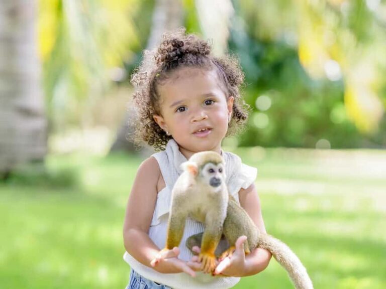 Punta Cana: Tour Monkey Adventure With Hotel Pick Up - What Do the Reviews Say?