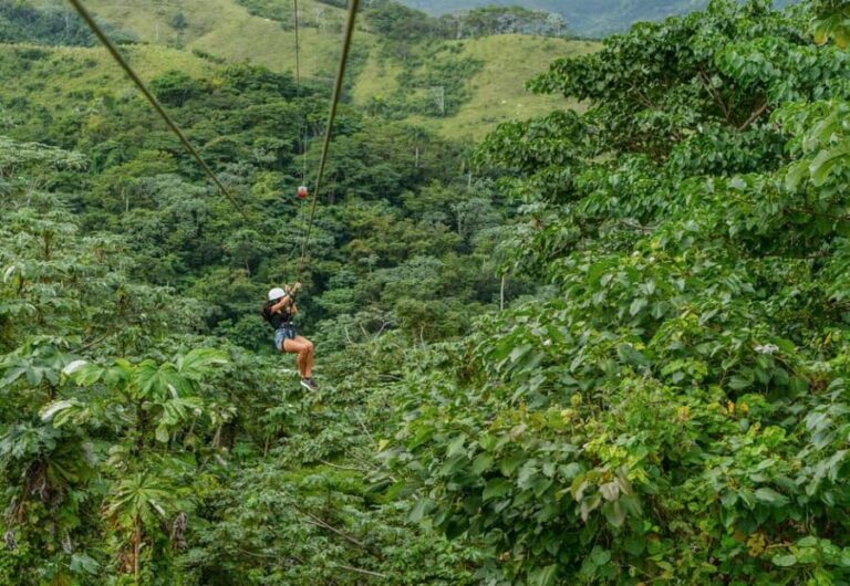 Punta Cana: Zipline, Chairlift, Buggy & Horse Ride Adventure - In-Depth Breakdown of Activities