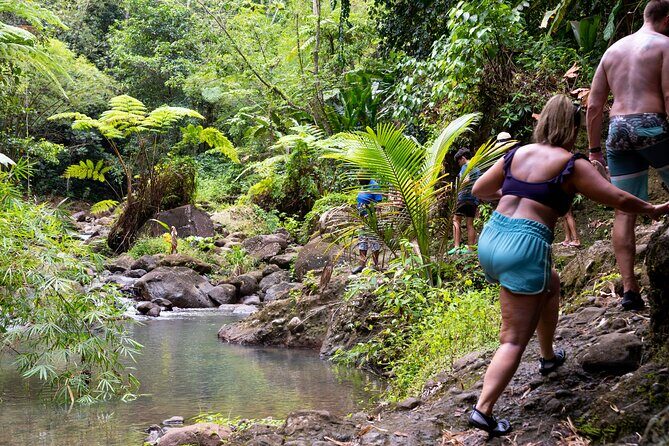 Rainforest Hike and Waterfall Safari - What Makes This Tour Stand Out?