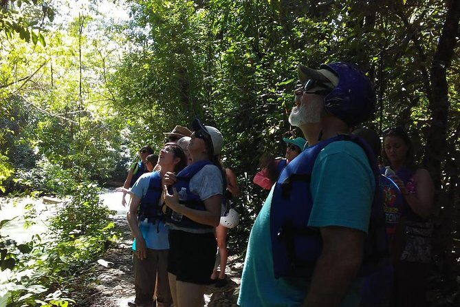 Rainforest Trek to Natural Pool - Taino Bay & Amber Cove ports - Navigating the Trek: Trail and Terrain