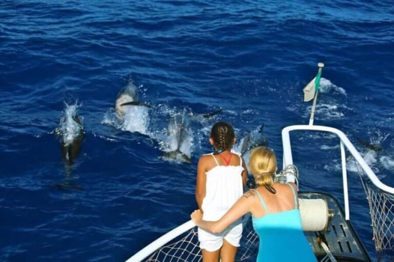 Roseau: Guided Dolphin and Whale Watching Tour With Drinks - The Detailed Breakdown of the Itinerary