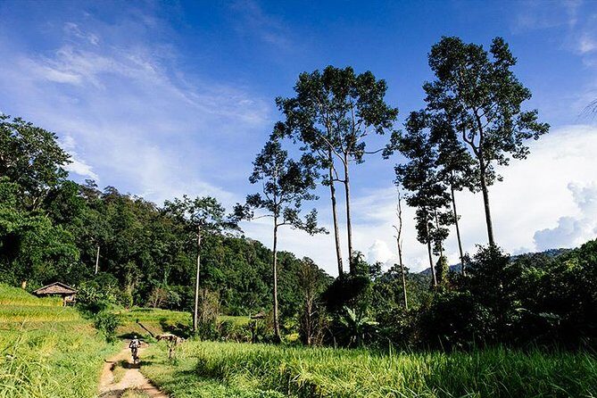 Rural Explorer Mountain Biking Tour Chiang Mai - An In-Depth Look at the Experience