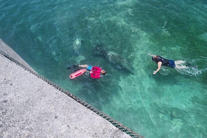 San Juan Snorkel with Turtles and Manatee's; Free Video and Rum! - Authentic Guest Experiences