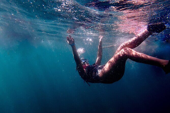 San Juan: Snorkeling with Turtles Adventure and Free Videos - The Itinerary in Detail