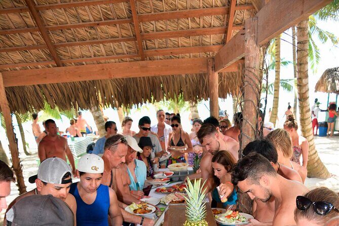 Saona Island Catamaran Adventure with Free Food and Transportation - Who Will Love This Tour?