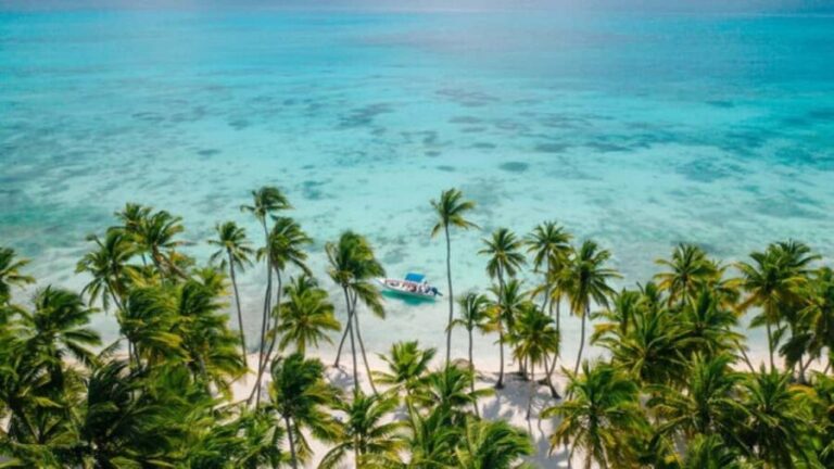 Saona Island: Catamaran/Speedboat Tour to a Dream Beach - What Makes This Tour Stand Out?