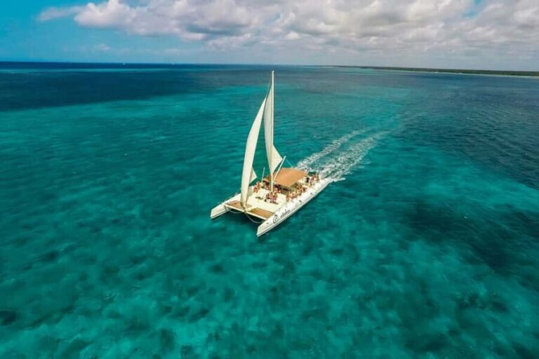 Saona Island: Full-Day Boat Tour All Inclusive - What to Expect: From Excitement to Relaxation