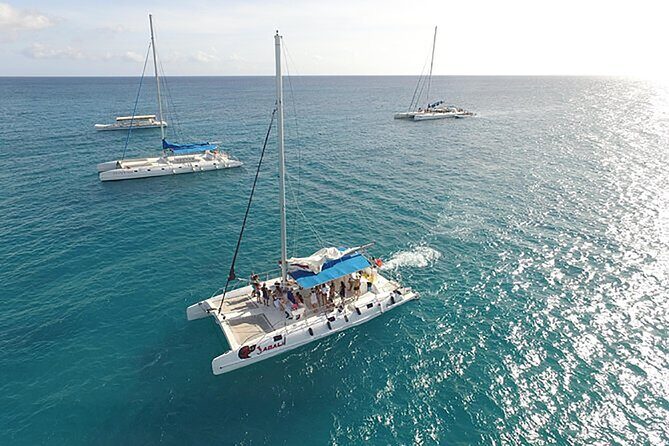 Saona Island Full Day Excursion from Punta Cana - What We Appreciate About This Tour