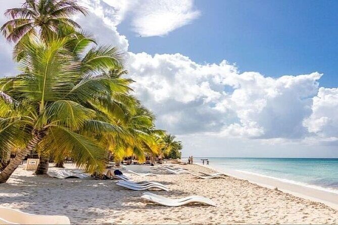 Saona Island Full-Day Tour with Lunch from Punta Cana - Real Guest Perspectives