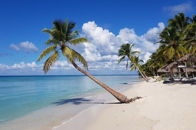 Saona Island, memorable all-inclusive experience, from Santo Domingo. - Unique Stops and Experiences