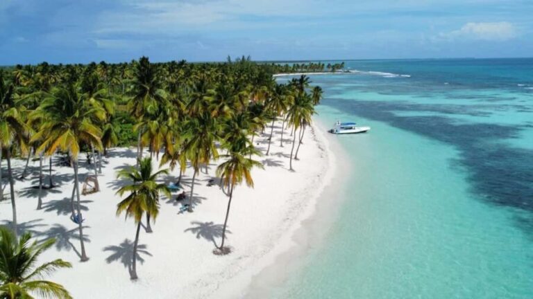 Saona Island: Small Group Virgin Beaches Cruise Day Trip - What You’ll Love About This Tour
