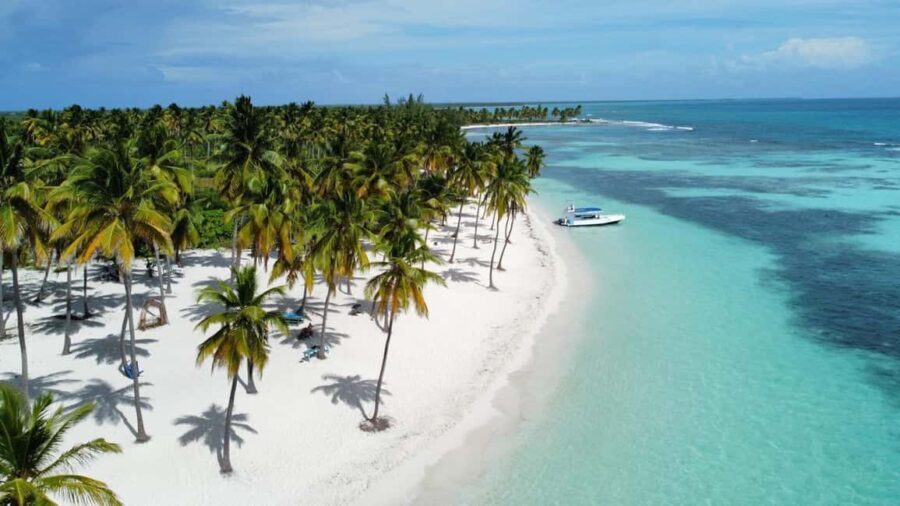 Saona Island: Small Group Virgin Beaches Cruise Day Trip - What You’ll Love About This Tour