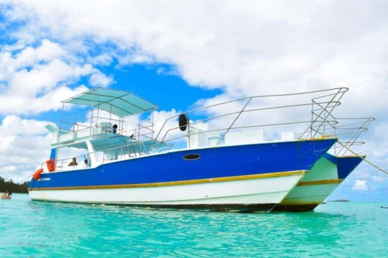 Saona Island Tour From Santo Domingo with Lunch and Pickup - Authentic Experiences and Traveler Insights