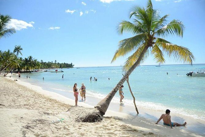 Saona Platinum Beach Day - What Travelers Say: The Good and the Not-So-Good