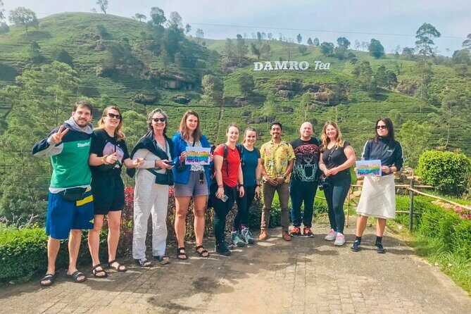 Scenic Road Trip to Ella from Kandy (Group) - What Travelers Say: Authentic Insights