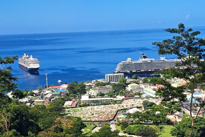 Scenic Tour of City and Rainforest, Waterfall, Sulphur Springs . - The Experience You’ll Remember